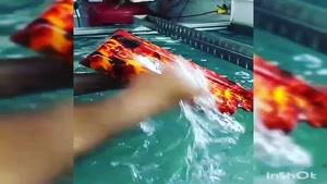 مخمل پاش فستو آلمان 09356458299