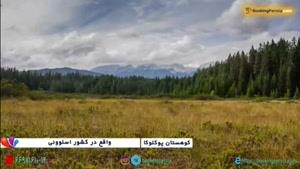 منطقه کوهستانی پوکلوکا در اسلوونی، از درختان سرسبز تا قله های برفی 