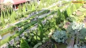 باغ نانگ نوچ در پاتایا، جذاب ترین باغ گیاه شناسی جهان در تایلند - بوکی