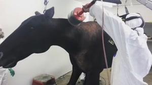 آموزش دستگاه مخمل پاش 02156571305