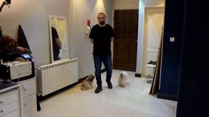 ویدیو های آموزشی  در مورد ورود سگ به منزل و آماده سازی منزل
