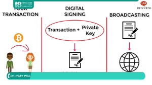 استخراج ارز دیجیتال فرآیندی با واحد پردازش گرافیکی (GPU) 