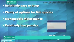 آشنایی با آکواریوم گیاهی مناسب نگهداری ماهی گلدفیش 