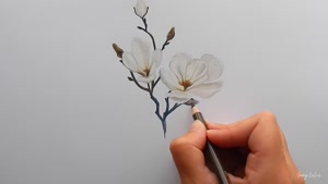 آموزش نقاشی گل های سفید مداد رنگی