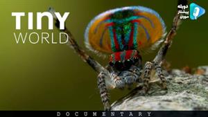 مستند Tiny World 2020 - دنیای کوچک قسمت 2