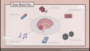 تأثیر دیدن اخبار حوادث و بلایا بر مغز انسان