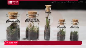 آموزش ساخت باغ شیشه ای برای پرورش خزه و گیاهان سردسیر