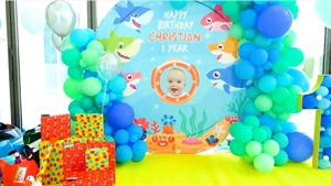 ماجراهای ولاد و نیکیتا این داستان جشن تولد کریستین