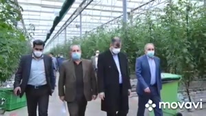 بازدید معاون امورباغبانی از مجتمع‌های گلخانه شیشه‌ای آتاویتا