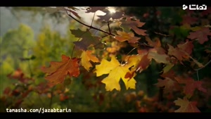 کلیپی زیبا از مناظر و طبیعت پاییزی بکر و زیبا