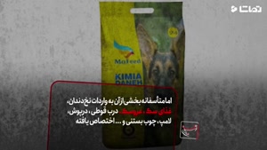 ارز 4200 تومانی در خدمت واردات غذای سگ 