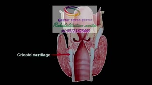   کلینیک گفتاردرمانی در البرز   09121623463،  عظیمیه خیابان 