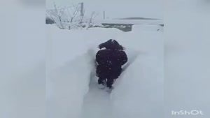 ارتفاع یک متری برف در پیرانشهر، آذربایجان‌غربی