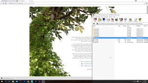 3ds max Plugins 2 - Ivy Generator