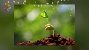 داستان کوتاه دو بذر