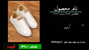 خرید کفش مردانه 4 - پرداخت درب منزل - دیتی شاپ