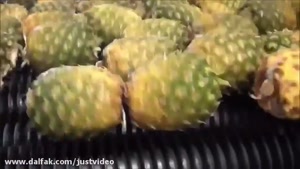 سایت دالفک - نحوه تهیه آب آناناس در کارخانه ها چگونه است