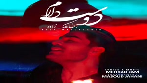 دانلود آهنگ رضا ملک زاده دوست دارم