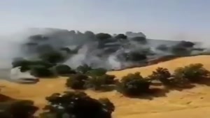 جنگل‌های زاگرس در حال سوختن