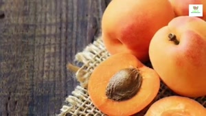 خواص هسته زرد آلو برای بدن