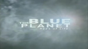 تریلر مستند سیاره آبی-The Blue Planet