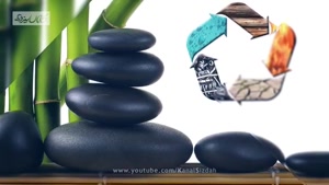 واقعا گیاه بامبو خوش شانسی میاره