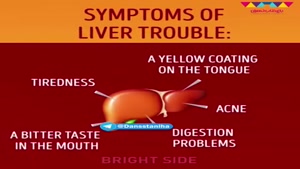 چگونه کبد را پاکسازی کنیم