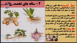 آموزش درس زیست شناسی 2 پایه یازدهم