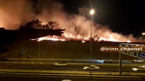 فوری : پارک چیتگر در آتش سوخت
