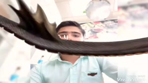 مهرداد هاشم پور