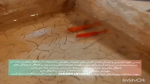 کاهگل شیراز- برسی نانو کاهگل در برابر آب (ماهی قرمز در کارتن