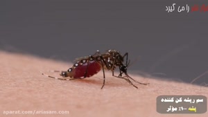 آیا پشه ها خطرناک هستند؟