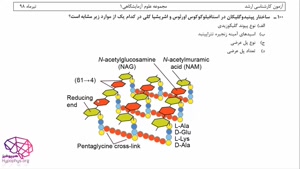 حل تشریحی میکروب شناسی ارشد رشته علوم آزمایشگاهی1 سال 98