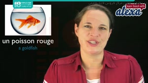 یادگیری حیوانات خانگی در زبان فرانسه