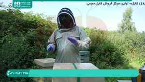 آموزش زنبورداری و پرورش عسل طبیعی 