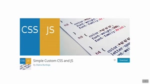افزودن کد CSS یا JS با افزونه Simple Custom CSS and JS