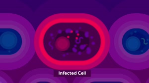 آنچه که باید درباره ویروس کرونا بدانید