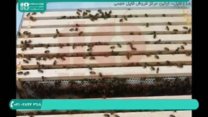 ایجاد شرایط مناسب برای زنبورداری و تولید عسل 