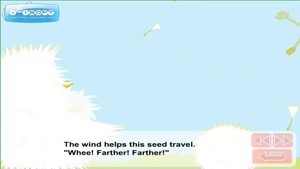 Seeds travel