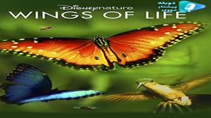 مستند Disneynature: Wings of Life 2011 - بالهای زندگی