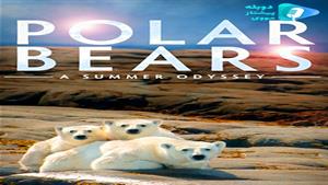 مستند Polar Bears: A Summer Odyssey - خرس های قطبی