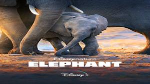مستند Elephant 2020 - فیل