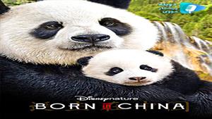 مستند Born in China 2016 - متولد چين