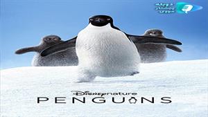 مستند Penguins 2019 - پنگوئن ها 