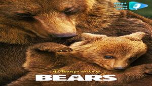مستند Bears - خرس ها 