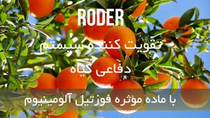 سم قارچ کش قوی برای باغ مرکبات | رودر | Roder