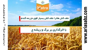 هاترا سم علف کش خارجی برای مزرعه گندم | Hatra