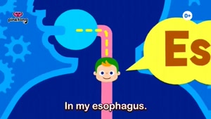 انیمیشن آموزش زبان کودکان pinkfong قسمت 17