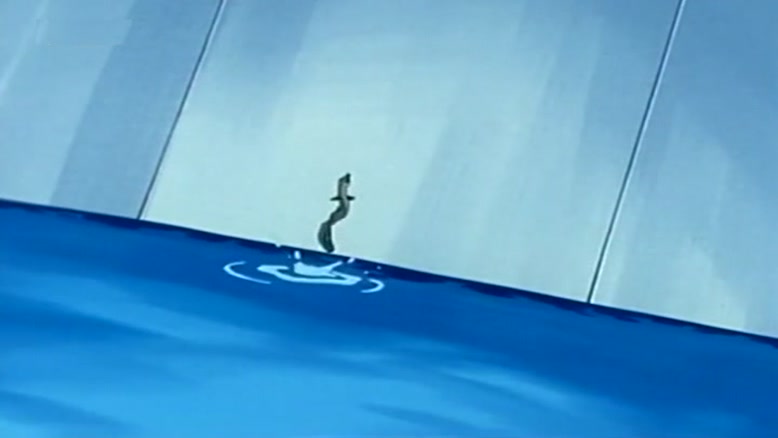 limit