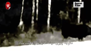 ویدیوی واقعی هیولای قاتل ترسناک جنگل کانادا (شکار دوربین 19)